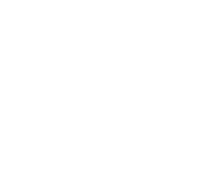 Reed's Foundation